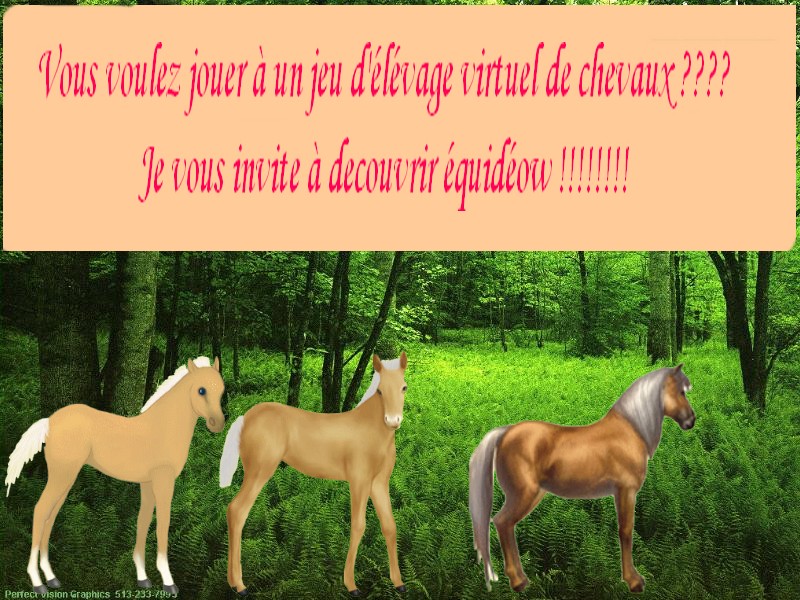 jeux de cheval